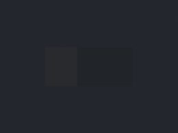 Whaleclub Traders